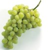 Druiven wit pitloos en zoet 500 gram gewoonweg de lekkerste